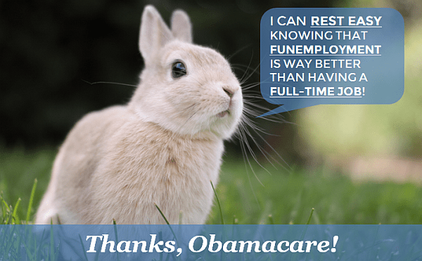 BunnyFunemployment