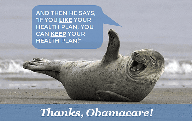 Seal Health Plan